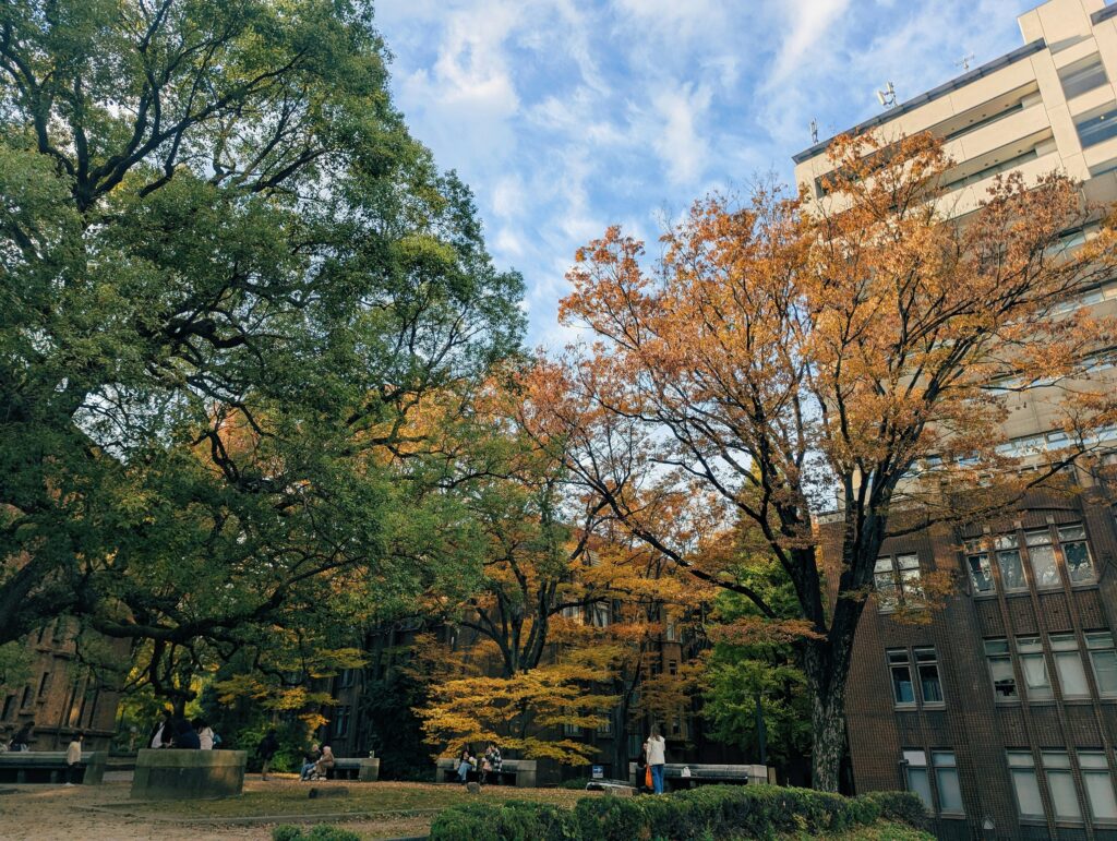 Educación Ambiental