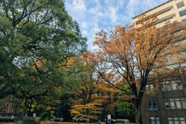 Educación Ambiental