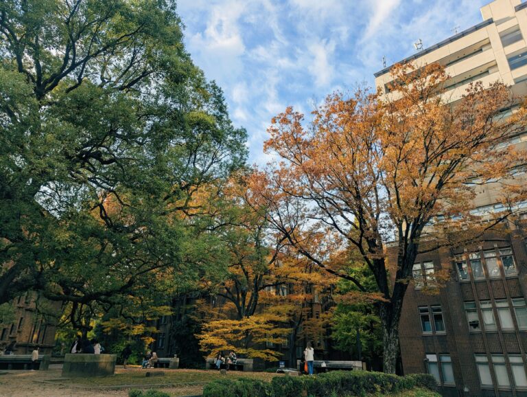 Educación Ambiental